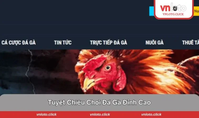 Tuyệt chiêu chơi đá gà đỉnh cao