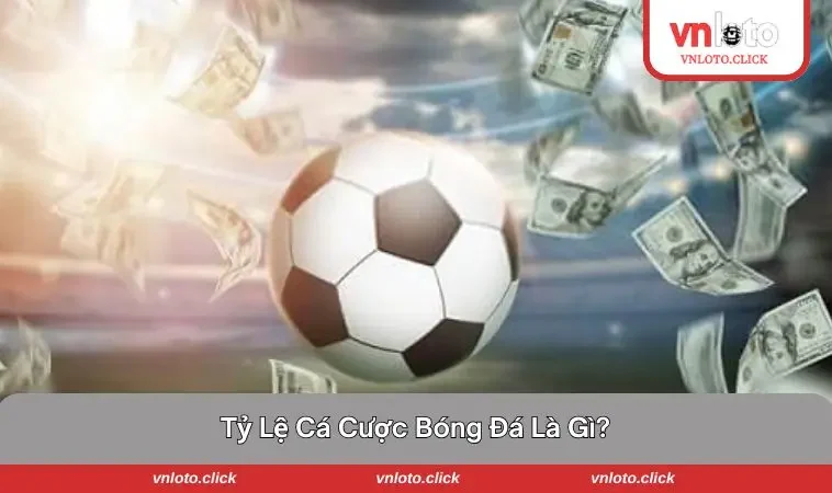 Liên tục cập nhật thông tin và tìm hiểu lợi ích về tỷ lệ cược